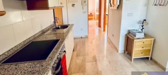 2 غرف نوم بانتهاوس في Gea Y Truyols, Spain رقم 152542 4