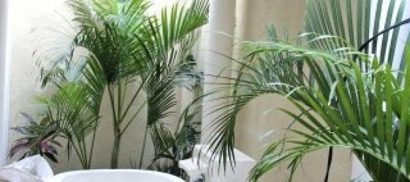 Villa T1 em Canggu, Indonesia N.º 3116 10