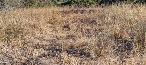 36800m² Land in Mexilhoeira Grande, Portugal No. 122508 10