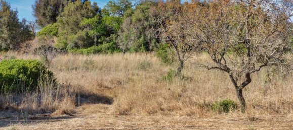 36800m² Land in Mexilhoeira Grande, Portugal No. 122508 29