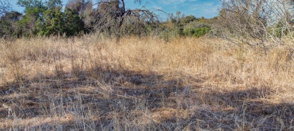 36800m² Land in Mexilhoeira Grande, Portugal No. 122508 16