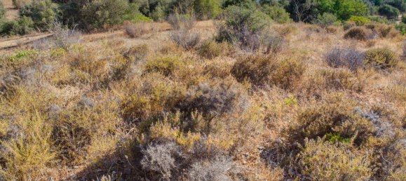 36800m² Land in Mexilhoeira Grande, Portugal No. 122508 44