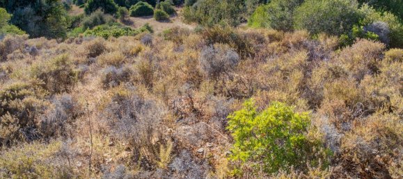 36800m² Land in Mexilhoeira Grande, Portugal No. 122508 45