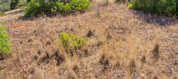 36800m² Land in Mexilhoeira Grande, Portugal No. 122508 30