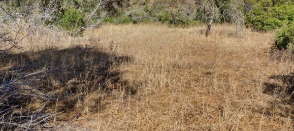 36800m² Land in Mexilhoeira Grande, Portugal No. 122508 22