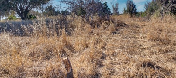 36800m² Land in Mexilhoeira Grande, Portugal No. 122508 33