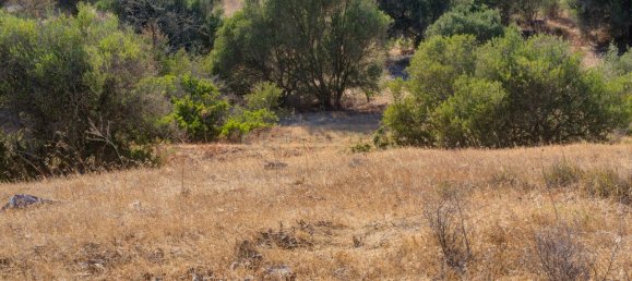 36800m² Land in Mexilhoeira Grande, Portugal No. 122508 31