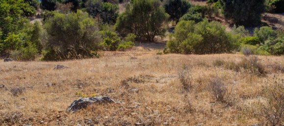 36800m² Land in Mexilhoeira Grande, Portugal No. 122508 43