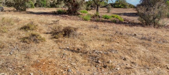 36800m² Land in Mexilhoeira Grande, Portugal No. 122508 19