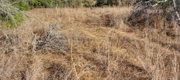 36800m² Land in Mexilhoeira Grande, Portugal No. 122508 7