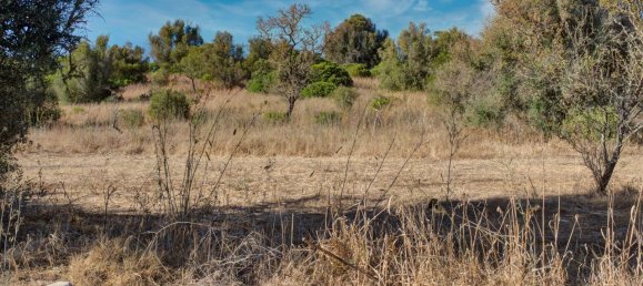 36800m² Land in Mexilhoeira Grande, Portugal No. 122508 13