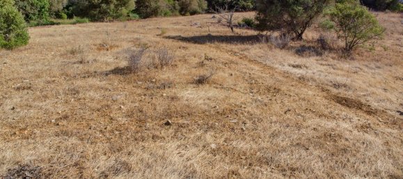 36800m² Land in Mexilhoeira Grande, Portugal No. 122508 39