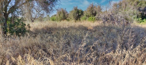 36800m² Land in Mexilhoeira Grande, Portugal No. 122508 17