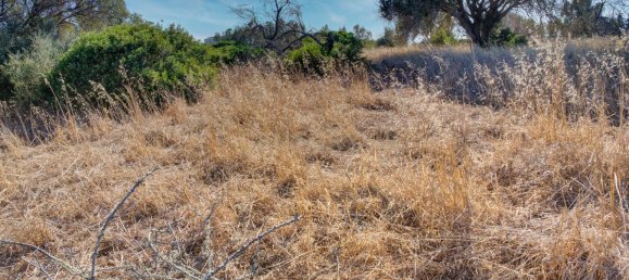 36800m² Land in Mexilhoeira Grande, Portugal No. 122508 24