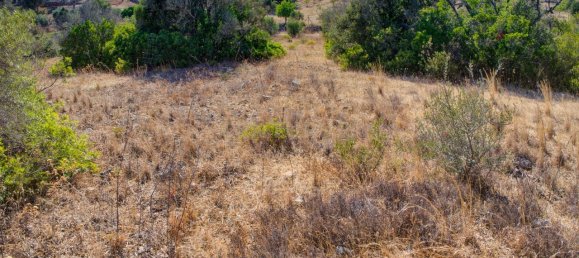 36800m² Land in Mexilhoeira Grande, Portugal No. 122508 35