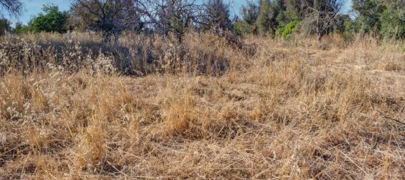 36800m² Land in Mexilhoeira Grande, Portugal No. 122508 27