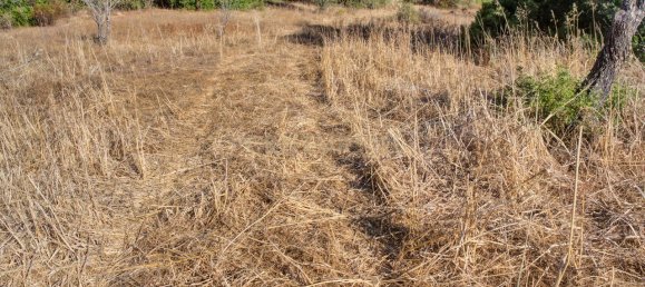 36800m² Land in Mexilhoeira Grande, Portugal No. 122508 25