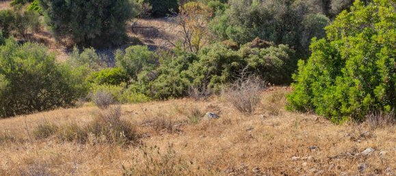 36800m² Land in Mexilhoeira Grande, Portugal No. 122508 34