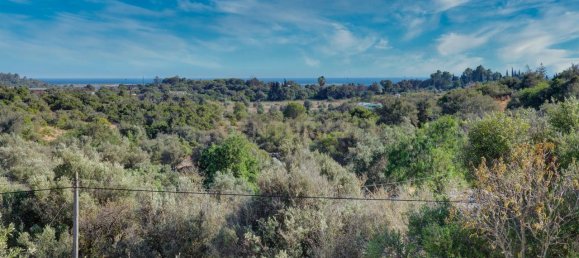 36800m² Land in Mexilhoeira Grande, Portugal No. 122508 4