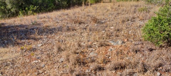 36800m² Land in Mexilhoeira Grande, Portugal No. 122508 6