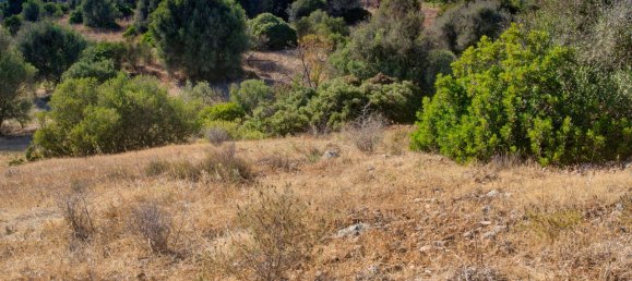 36800m² Land in Mexilhoeira Grande, Portugal No. 122508 42