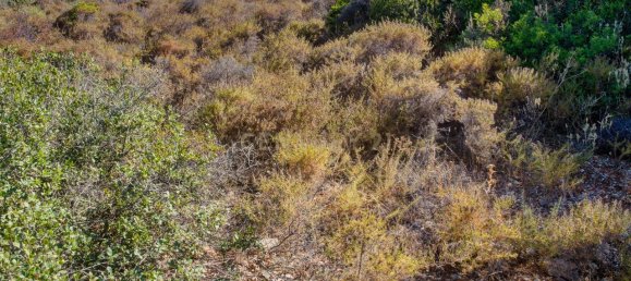 36800m² Land in Mexilhoeira Grande, Portugal No. 122508 41