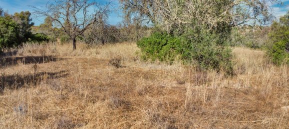 36800m² Land in Mexilhoeira Grande, Portugal No. 122508 11