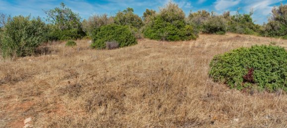 36800m² Land in Mexilhoeira Grande, Portugal No. 122508 12