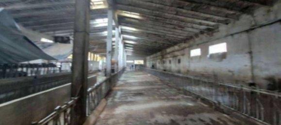 Imóvel comercial em Pagazzano, Italy 13100 m² N.º 338637 5