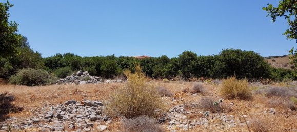 8000m² Hotel in Agios Nikolaos, Greece No. 4849 3