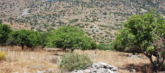 8000m² Hotel in Agios Nikolaos, Greece No. 4849 7