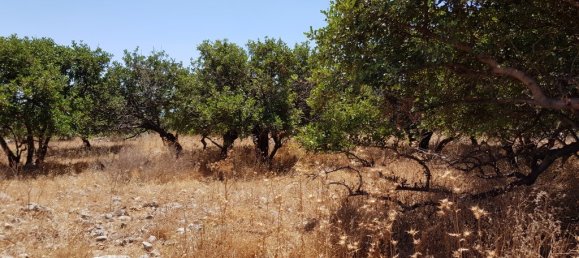 8000m² Hotel in Agios Nikolaos, Greece No. 4849 5