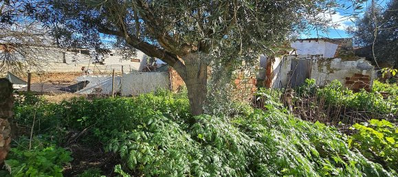 2 bedrooms House in Abrantes, Portugal No. 21924 7