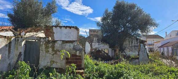 2 bedrooms House in Abrantes, Portugal No. 21924 10