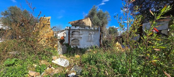 2 bedrooms House in Abrantes, Portugal No. 21924 4