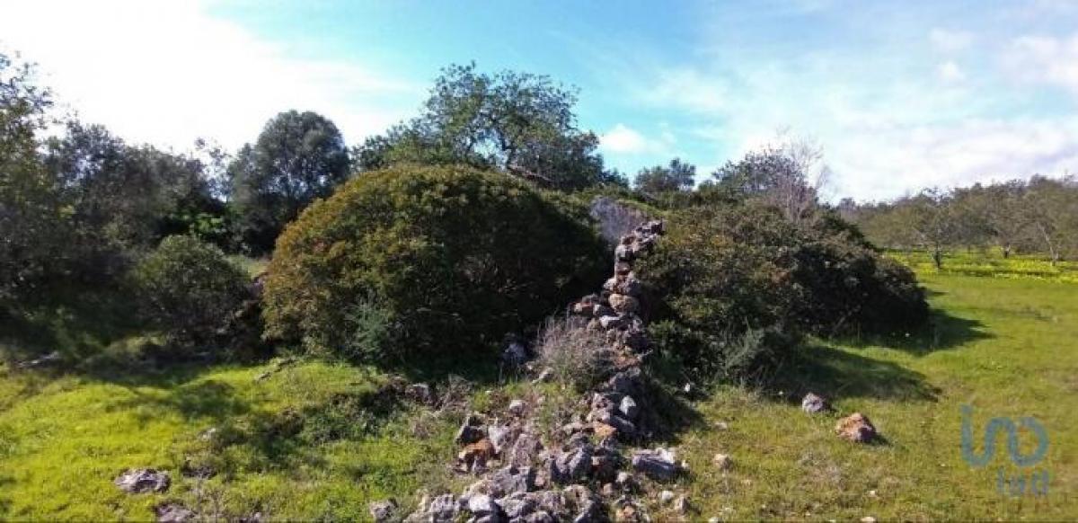 Grundstück in Olhao, Portugal, Nr. 2207