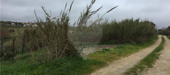 4200m² Land in Lourinha, Portugal No. 76855 6