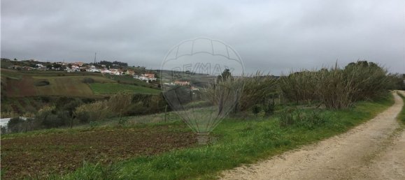 4200m² Land in Lourinha, Portugal No. 76855 5