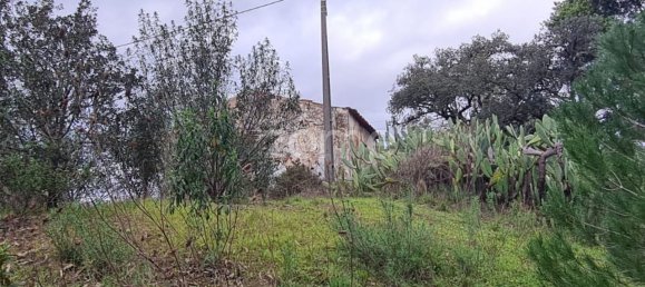 3 chambres Maison à Sao Bartolomeu de Messines, Portugal No. 154442 17