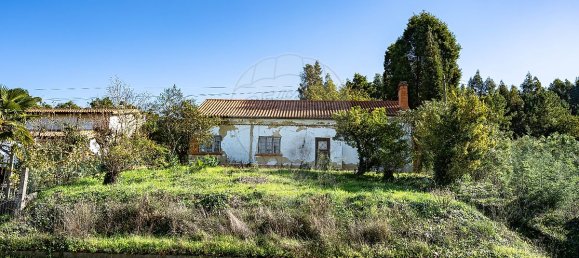 3 chambres Maison à Anadia, Portugal No. 50401 5