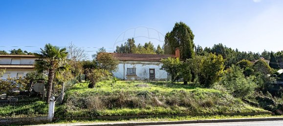 3 chambres Maison à Anadia, Portugal No. 50401 4