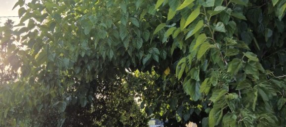 Дом с 4 спальнями в Мурсия, Испания № 155122 7