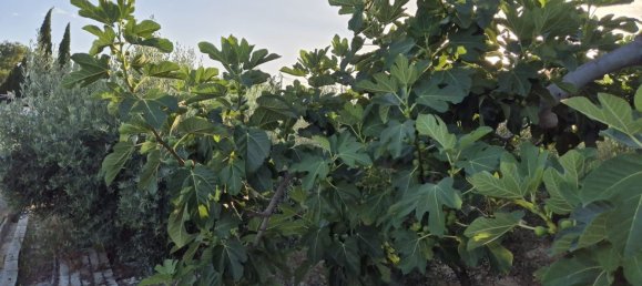 Дом с 4 спальнями в Мурсия, Испания № 155122 62