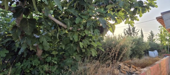 Дом с 4 спальнями в Мурсия, Испания № 155122 59