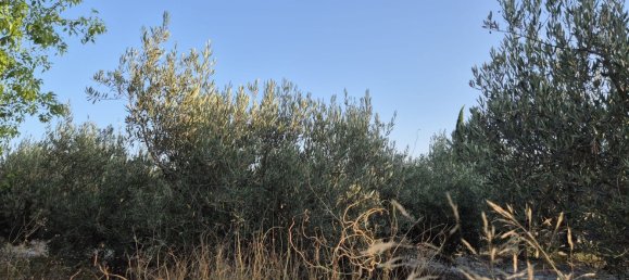 Дом с 4 спальнями в Мурсия, Испания № 155122 6