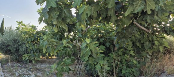 Дом с 4 спальнями в Мурсия, Испания № 155122 64