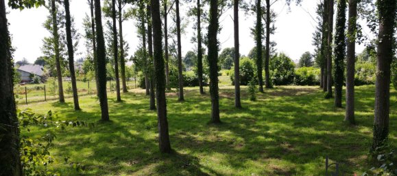 4 chambres Maison à Ille-et-Vilaine, France No. 361108 10