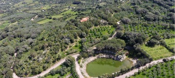 5 bedrooms Villa in Palau, Italy No. 19384 30