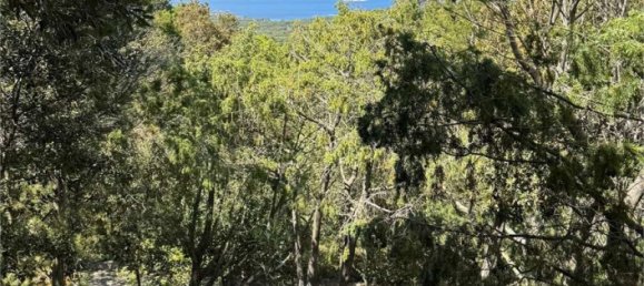 5 bedrooms Villa in Palau, Italy No. 19384 4