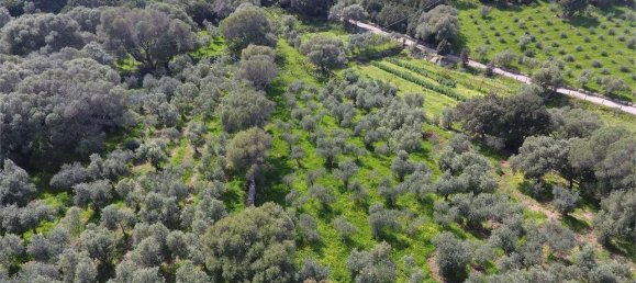 5 bedrooms Villa in Palau, Italy No. 19384 44